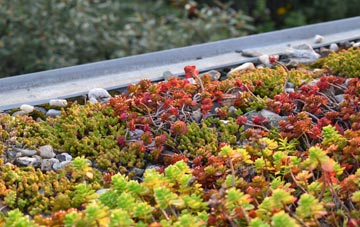 the cost of Allercombe green roof installation