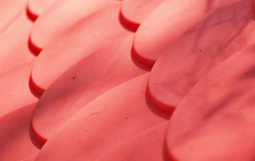 Allercombe plastic roof costs