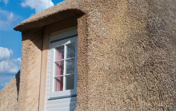 Allercombe thatch roof disadvantages